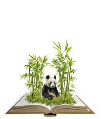 Panda sitting in bamboo jungle wildlife plants panda.