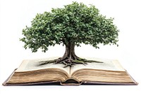 Tree of knowledge book publication education.