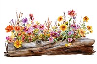 Long flower wooden bed flowers illustration watercolor.