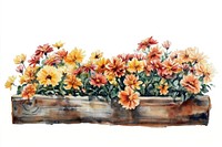 Long flower wooden bed flowers illustration watercolor.