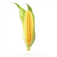 Real fresh corn vegetable plant food.