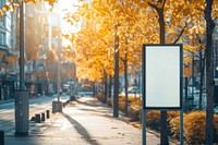 Autumn street city cityscape.