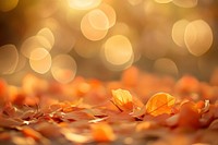 Blurred background of autumn leaves leaf atmosphere sunlight.