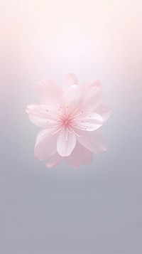 Cherry Blossom flat shape Y2k Aura Wallpaper blossom background wallpaper.