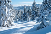 A snow-covered landscape nature forest trees.