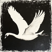 Swan flying design black.