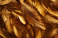 Real gold feathers background pattern decoration.