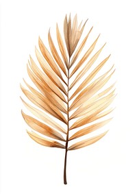 Palm Leaf leaf art illustration.