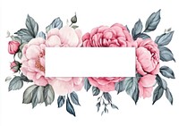 Pink roses and peonies on invisible rectangle frame art illustration watercolor.