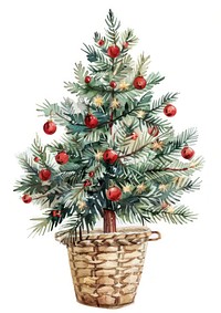 Watercolor christmas tree in a basket illustration decoration art.