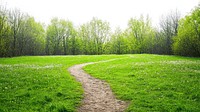 Real park dirt path forest landscape outdoors.