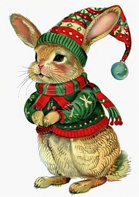 Rabbit in the Christmas theme rabbit christmas animal.