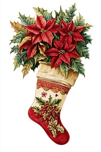 Poinsettias christmas stocking illustration.