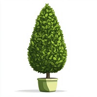 Green high conical Oval shape topiary illustration design plant.