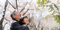 Japanese couple happy outdoors blossoms.