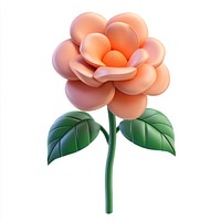 Flower illustration orange green.