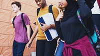 Diverse group of students walking. Students with backpacks, diverse ethnicities. Group of students walking together, diverse group, students outdoors. Diverse teenage students at school walking.