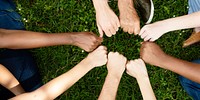 Diverse community with hands in a circle. Nature and environment. Diverse group of people hands together in unity. Group of diverse hands fist in circle on grass. Diverse people hands fists together