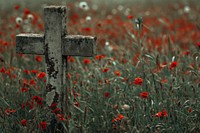 Cross in a field cross outdoors cemetery.