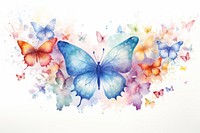 Butterfly painting pattern animal.