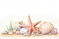 Sea shells seashell nature invertebrate.