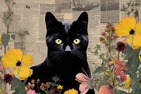 Black cat with flower border animal mammal plant.