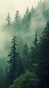  Nature nature outdoors woodland. AI generated Image by rawpixel.