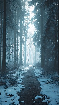  Nature nature woodland outdoors. AI generated Image by rawpixel.