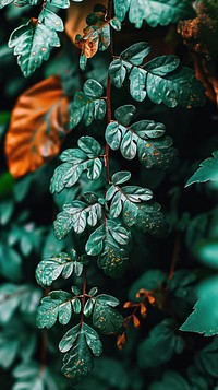  Nature nature outdoors plant. AI generated Image by rawpixel.