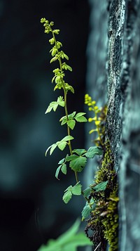  Nature nature plant green. AI generated Image by rawpixel.