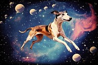 Collage Retro dreamy jumping Greyhound astronomy greyhound animal.