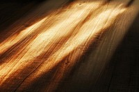 Transparent Wood texture background sunlight reflections wood backgrounds abstract.