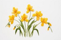 Doffodil in embroidery style daffodil flower plant.