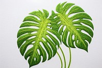 Monstera in embroidery style plant green leaf.