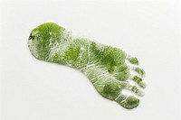 The green foot imprint of a woman on a white background plant footprint dynamite.