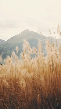  Grass field in switzerland landscape outdoors nature. AI generated Image by rawpixel.
