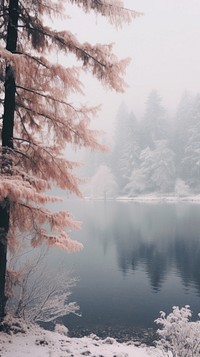  Lake in winter outdoors nature plant. AI generated Image by rawpixel.
