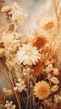  Dried flowers plant petal daisy. AI generated Image by rawpixel.