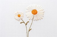Embroidery of daisy flower plant white.