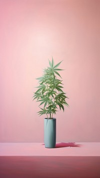 Cannabis bud plant houseplant flowerpot.
