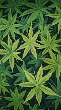 Cannabis pattern plant green herbs.