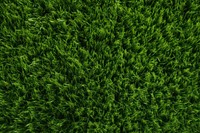 Lawn grass backgrounds outdoors.