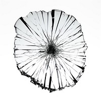 Glass with hard burnt white background monochrome chandelier.