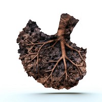 Paper diecut lung with burnt plant leaf tree.