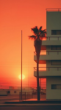 Retro photography of a sunset sunlight outdoors nature.
