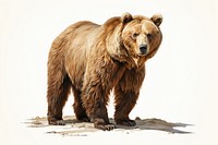  Bear bear wildlife mammal. AI generated Image by rawpixel.