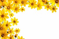 Background of Yellow flower border backgrounds sunflower nature.