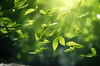 Green falling Leaves flying Leaves Green Leaf Dancing green leaf sunlight. AI generated Image by rawpixel.