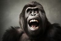 Real funny gorilla wildlife monkey mammal. AI generated Image by rawpixel.