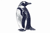 Penguin penguin cartoon animal.